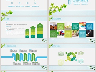 清新简约全面质量管理及现存问题的剖析PPT模板