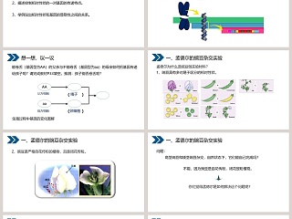 人教版初中生物八年级下册教学ppt课件