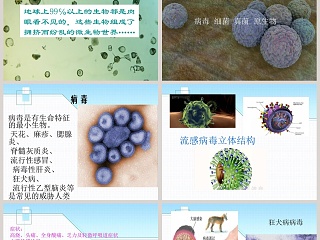 青岛版五年制五年级科学上册课件-病 毒教学ppt课件