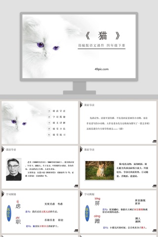 部编版四年级语文下册猫语文课件PPT