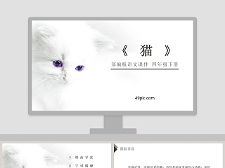  猫 说课ppt课件