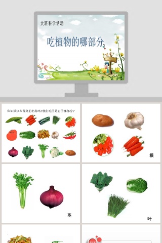 幼儿园大班科学《吃植物的哪部分》课件PPT