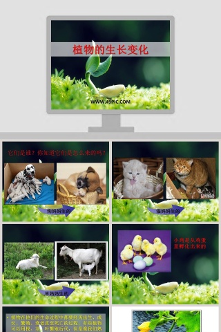 植物的生长变化教学ppt课件