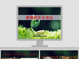 橘子的生长过程 课堂ppt 