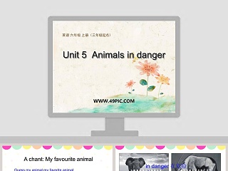 Unit 5  Animals in danger-英语 六年级 上册三年级起点教学ppt课件