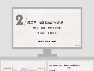 巴氏染色ppt