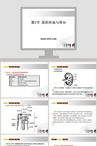 第-2教学ppt课件下载