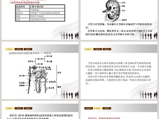 第-2教学ppt课件