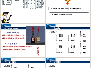 第九章 酸碱盐-对酸碱的初步认识教学ppt课件