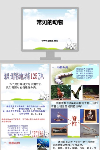 常见的动物教学ppt课件