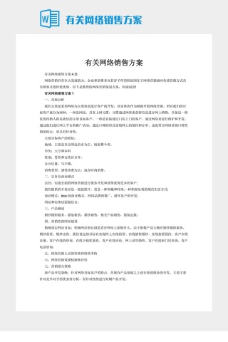 有关网络销售方案下载