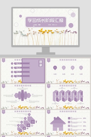 学习成长阶段汇报ppt