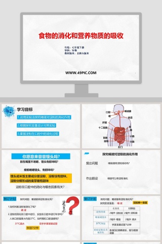 食物的消化和营养物质的吸收-年级七年级下册教学ppt课件