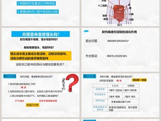 食物的消化和营养物质的吸收-年级七年级下册教学ppt课件