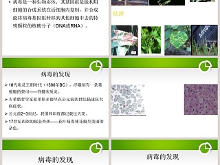 病 毒-青岛版五年制五年级科学上册课件教学ppt课件