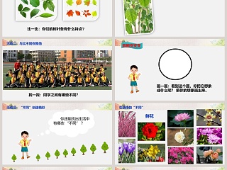 不一样的你我他-第教学ppt课件