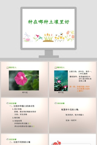 种在哪种土壤里好教学ppt课件