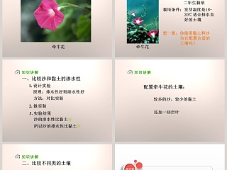 种在哪种土壤里好教学ppt课件