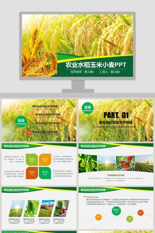 农业水稻玉米小麦农业招商农产品宣传PPT模板