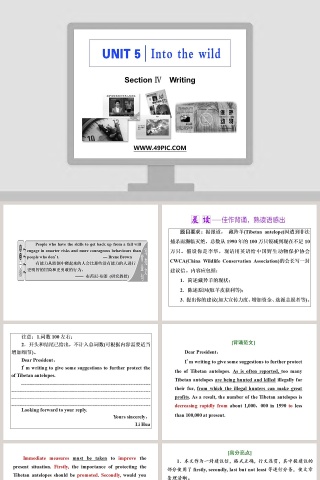利用SectionWriting和PPT模板提升论文答辩效果