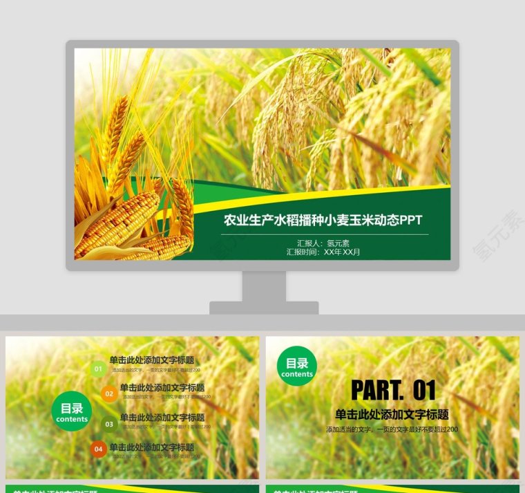 农业生产水稻播种小麦玉米动态PPT第1张