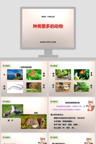 教科版   六年级上册-种类繁多的动物教学ppt课件