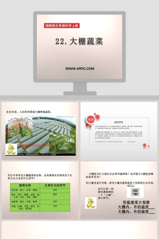 22大棚蔬菜鄂教版五年级科学上册PPT模板