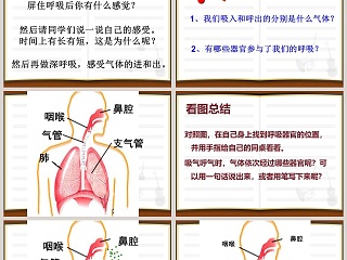 我们在呼吸教学ppt课件