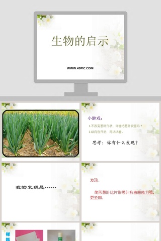 生物启示在政务党建PPT模板中的应用