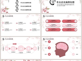 中国风手绘桃花新年计划ppt