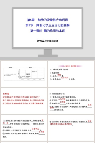 第5章细胞的能量供应和利用 PPT模板