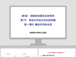 化学反应速率及限度说课ppt