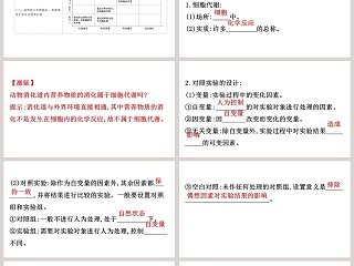 第5章细胞的能量供应和利用 PPT模板