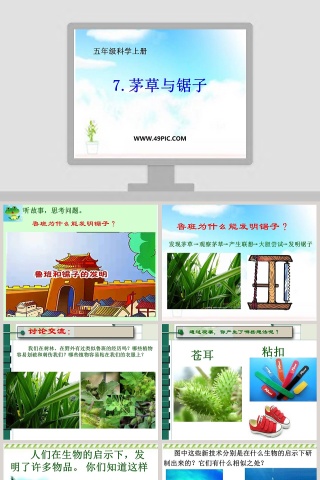 五年级科学上册PPT模板大全