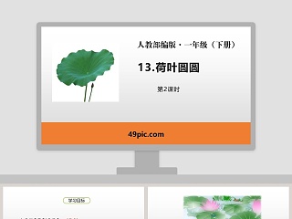 人教部编版一年级语文下册荷叶圆圆语文课件PPT