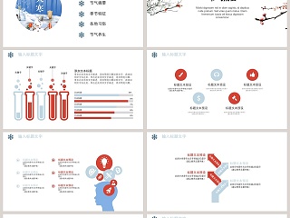 白色简约中国传统节气大寒传统节气PPT