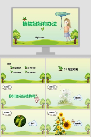 课文解析植物妈妈有办法语文课件PPT