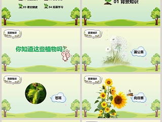 课文解析植物妈妈有办法语文课件PPT