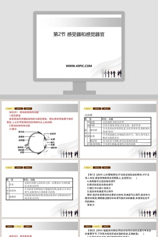 第-节感受器和感觉器官教学ppt课件