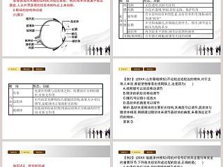 第-节感受器和感觉器官教学ppt课件