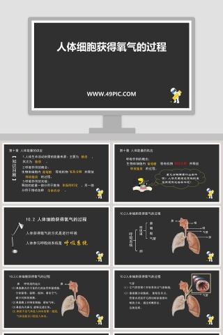 人体细胞获得氧气的过程教学ppt课件