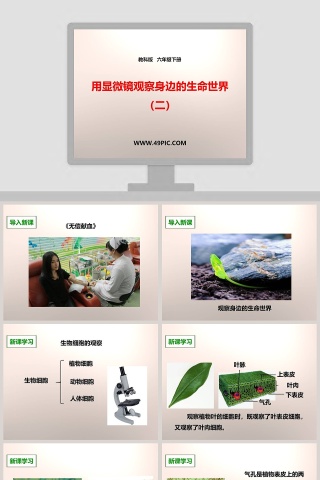 教科版六年级下册课堂教学PPT模板