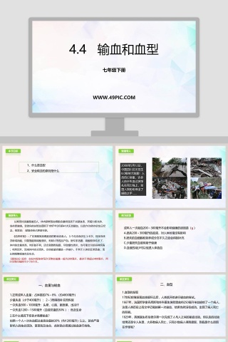 七年级下册-教学ppt课件