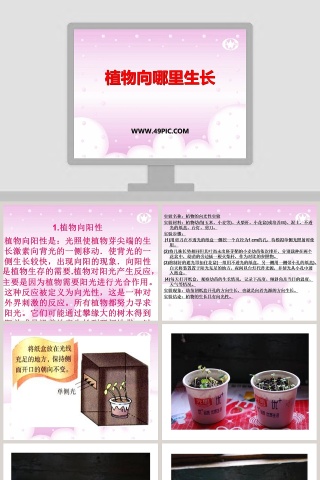 植物向哪里生长教学ppt课件