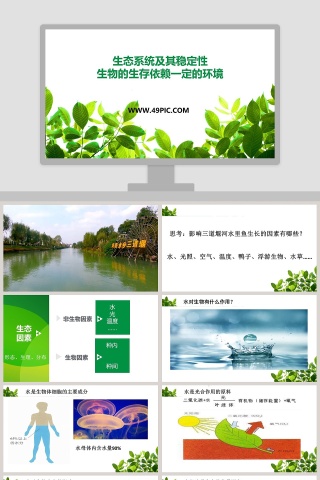 生态系统及其稳定性-生物的生存依赖一定的环境教学ppt课件