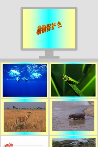 幼儿园中大班科学教育课件PPT：动物保护色
