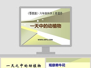 选择性必修一植物生长素ppt