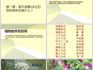 一天中的动植物-鄂教版六年级科学上册课件教学ppt课件