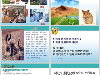 第2章 探索生命：医学护理行业PPT模板