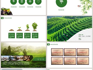 绿色中国茶精致通用模板